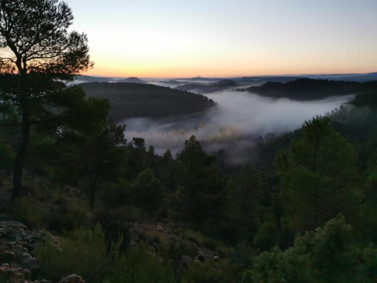 Armonia Y Naturaleza: La Canada