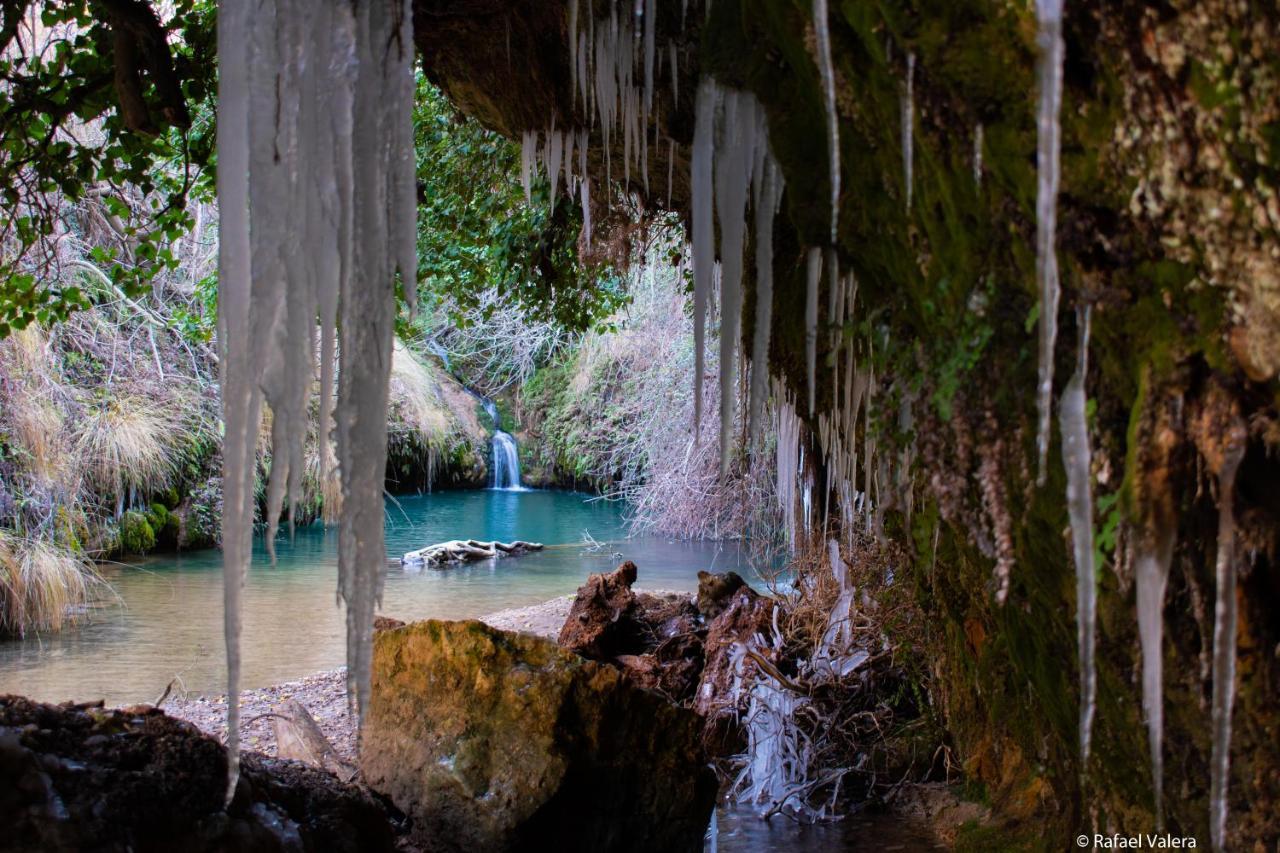 Armonia Y Naturaleza: La Canada Cenizate